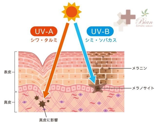 紫外線対策